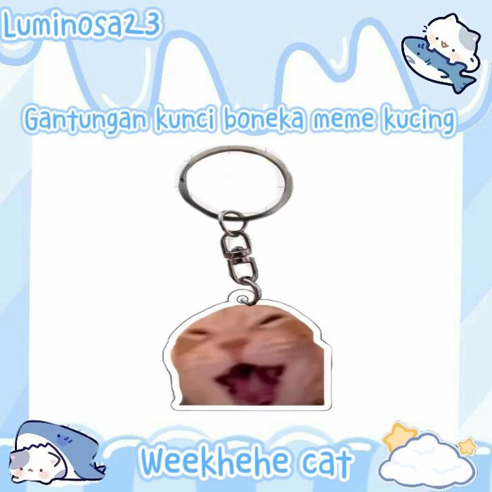 Gambar Gantungan Kunci Boneka meme kucing Keychain cat Souvenir Cat cute - Wekhehe cat dari Luminosa23 undefined Tokopedia