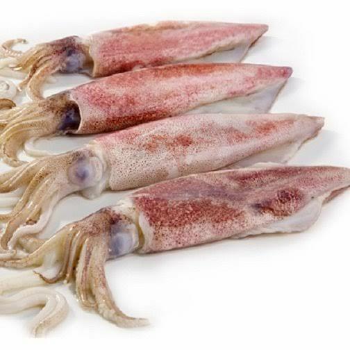 Gambar Cumi Segar Cumi Jumbo/Besar 1Kg Hasil Laut Segar - 500gr dari Segar Laut Lestari undefined Tokopedia