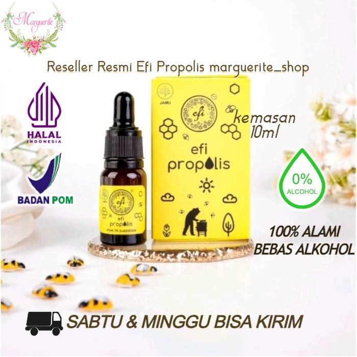 Gambar Efi Propolis 10ml by Prof Felix, Ph.D ( 100% Original Propolis Non Alkohol ) | Propolis Anak Terbaik (reseller resmi) - 1 botol 10ml dari marguerite.shop undefined Tokopedia