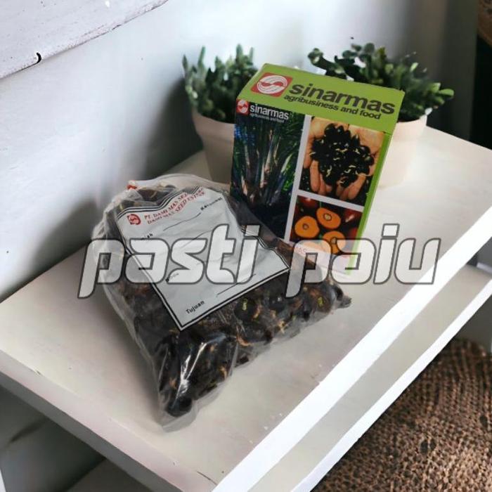 Gambar MRS Bibit Sawit Unggul Dami Mas berkualitas - damimas, pelepah pendek dari YAYAN 18 STORE undefined 3 Tokopedia