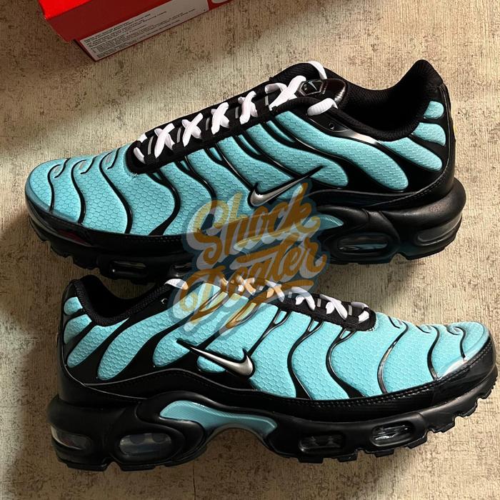air max plus aqua silver