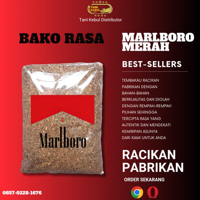 Gambar Tembakau Linting rasa Masbro merah 1 kg - 500 gr, SUPER PREMIUM dari TANI KEBUL DISTRIBUTOR undefined Tokopedia