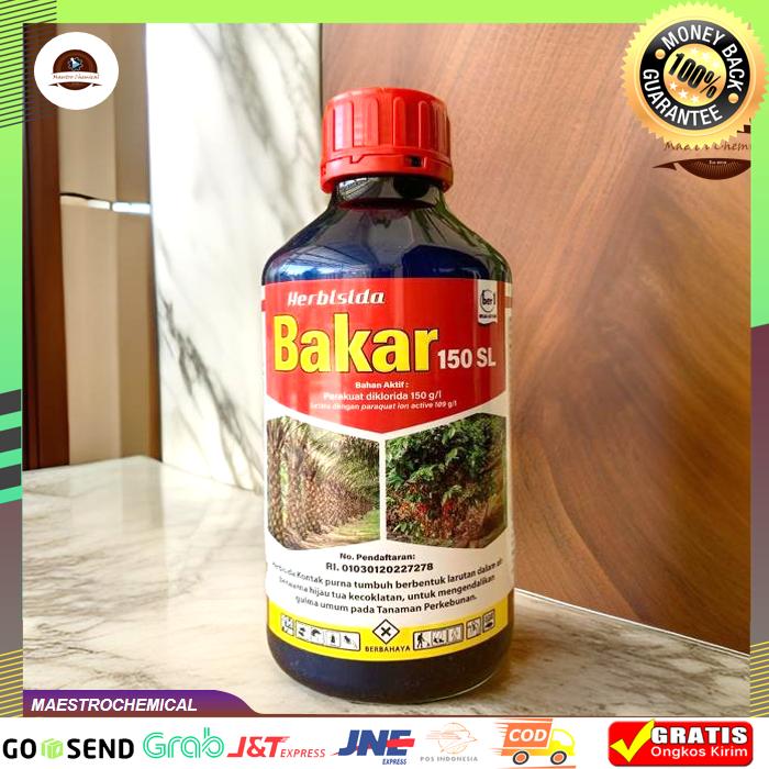 Gambar BAKAR 150 SL - Herbisida Kontak (Racun Rumput Liar Langsung Kering) - 1 Liter dari Maestrochemical undefined Tokopedia