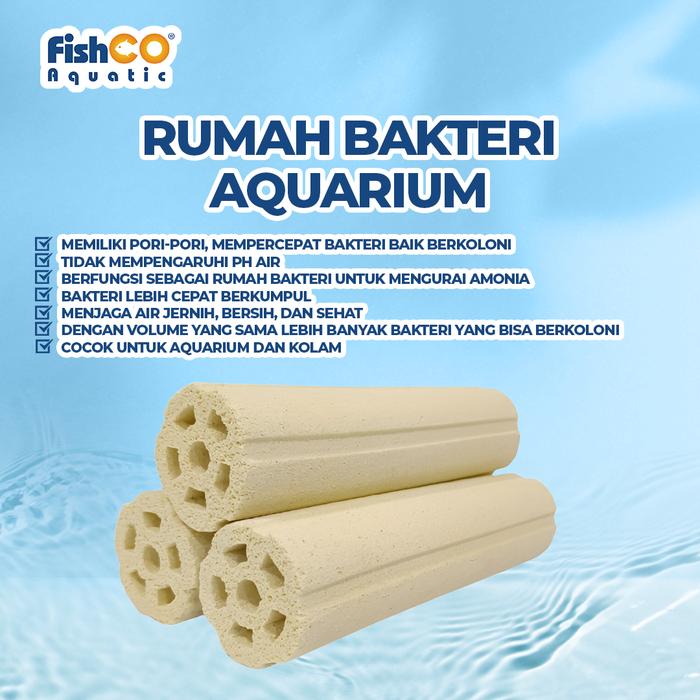 Gambar Fishco Rumah Bakteri Lotus Yellow Large Bacteria House Japan - 60pcs dari Fishco Aquatic undefined Tokopedia