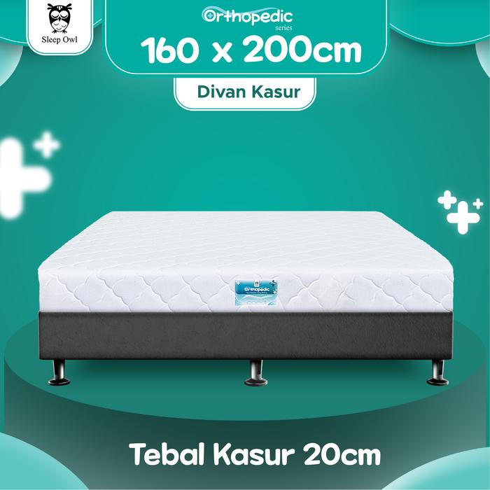 Gambar SLEEP OWL ORTHOPEDIC Kasur Busa Rebonded Zipper 160 x 200 Divan Matras - DIVAN+MATRAS A, 20CM dari Citra furniture undefined Tokopedia