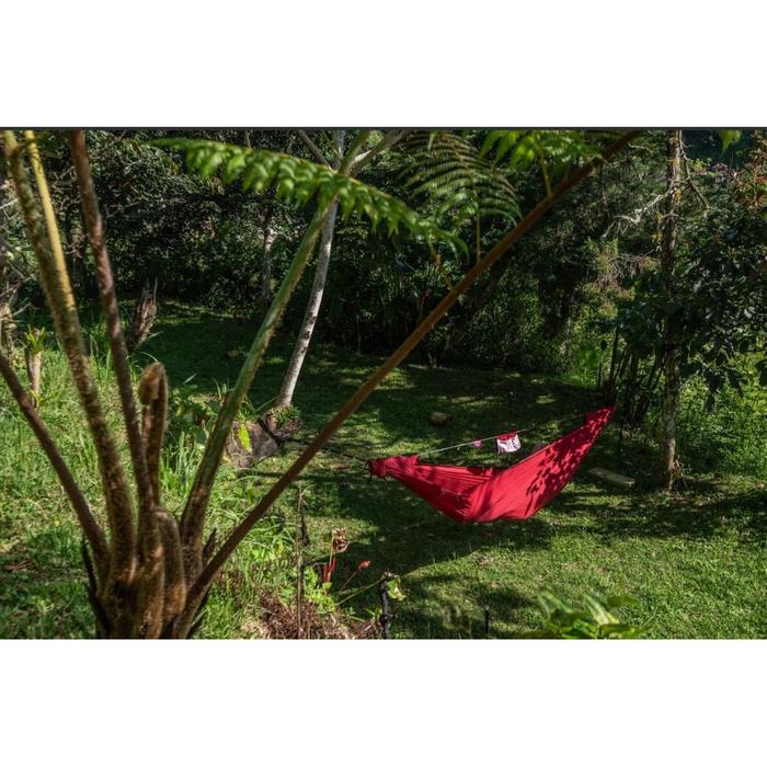 Gambar Original Pro Hammock Ticket To The Moon Ayunan Camping Outdoor - Burgundy dari Ticket To The Moon Kab. Badung Tokopedia