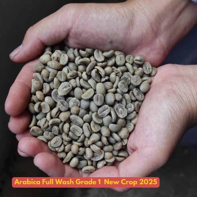 Gambar Siap Kirim Biji Kopi Green Bean Arabika Full Wash Sukabumi Grade 1 - 500 Gr dari Hutankoshop undefined 4 Tokopedia