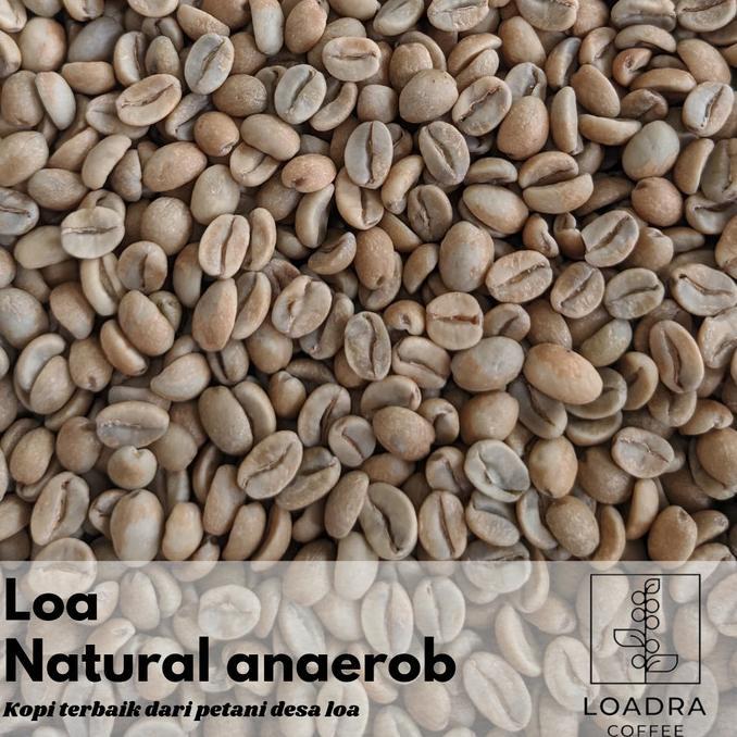 Gambar Siap Kirim GREENBEAN ARABIKA NATURAL ANAEROB LOA JAWABARAT - typica dari Hutankoshop undefined Tokopedia