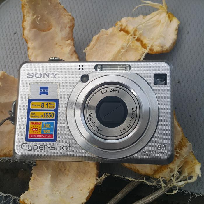 Carl Zeiss Sony Cyber Shot Dsc W100 Sony Cyber-shot DSC-W100 디카