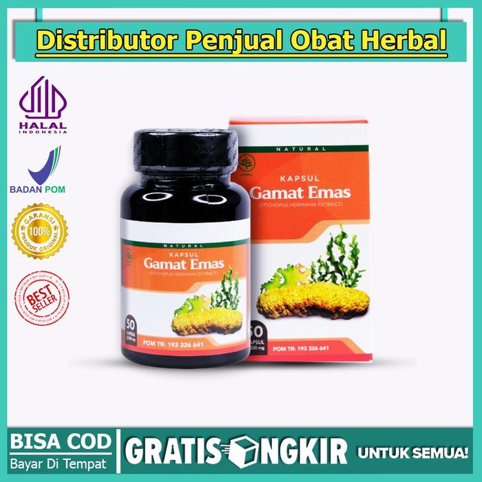 Gambar Obat Herbal Sel Darah Putih, Obat Untuk Menyembuhkan Kelebihan Sel Darah Putih, Obat Leukimia, KAPSUL GAMAT EMAS 100% ORGINAL dari AS-SYFA HERBAL undefined Tokopedia
