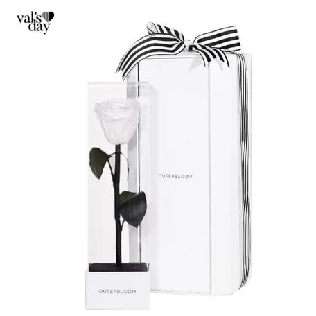 Gambar Outerbloom - Bunga Valentine - Enchanted Love Pirouette Special Edition - Angelic White dari Outerbloom Kota Administrasi Jakarta Selatan Tokopedia