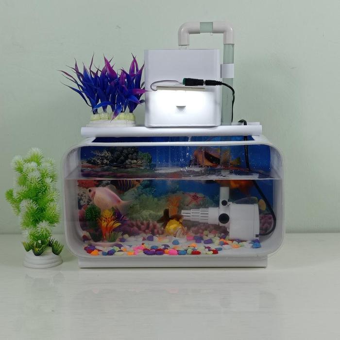 Gambar Aquarium Mini Akrilik Ukuran Besar Model Minimalis Fullset Dengan Sistem Filtrasi Air Terbaik - Putih Terang, Packing Kayu dari monokorobho undefined Tokopedia
