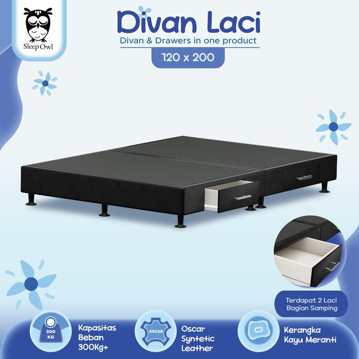 Gambar SLEEP OWL Divan Minimalis Laci 120 x 200 | Dipan Laci Drawer - BLACK dari Citra furniture undefined Tokopedia