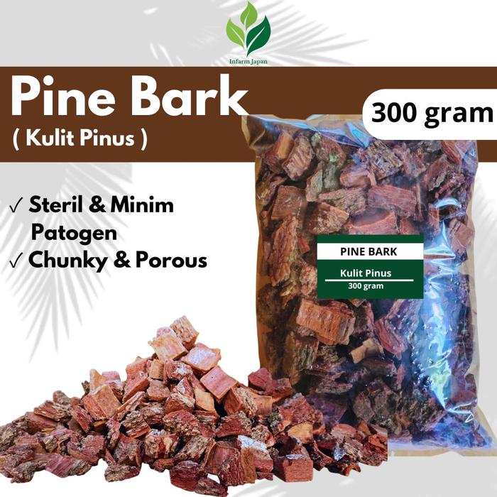 Gambar Pine Bark Kulit Pinus Cacah Media Tanam Tanaman Hias Anggrek Aroid 300 G Jamur dari Infarm Store JKT undefined Tokopedia