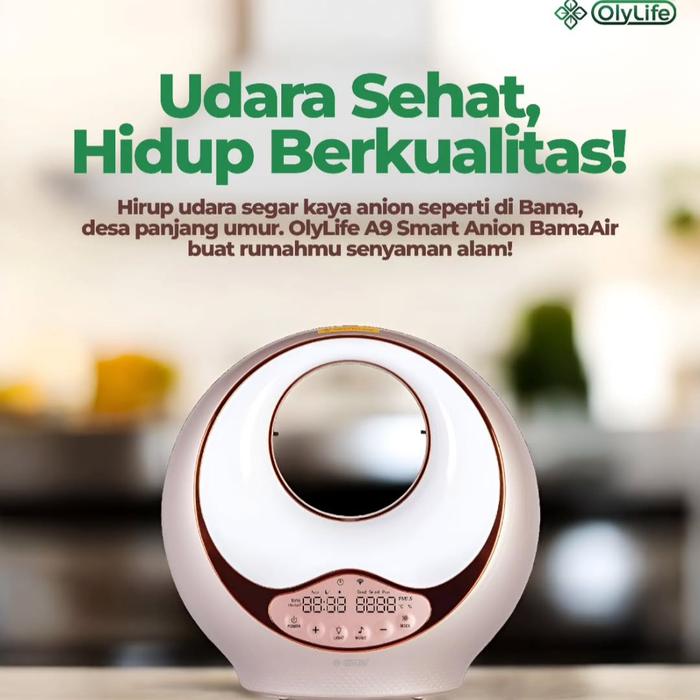 草*子様 OlyLife A9 Smart Anion BamaAir OlyLife A9 Air Purifier - Pure, Clean Air