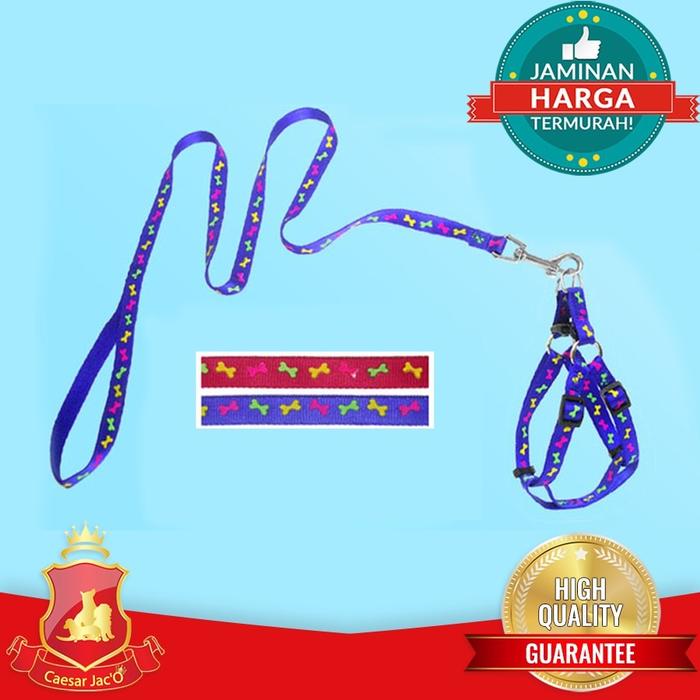 Gambar Dog Harness + Lead ( Tali Badan Anjing Kucing Hewan ) DLH-120 - Tali DLH 120 dari Caesar JacO undefined Tokopedia