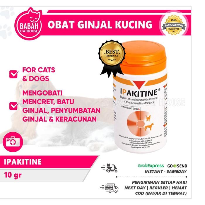 Gambar IPAKITINE Obat Gagal Ginjal Kucing Anjing Cat Urinary Sakit Susah Gangguan Kencing Batu Muntah Diare Mencret Lemas Keracunan Ampuh IPAKITIN dari RAYANQUUEN undefined Tokopedia