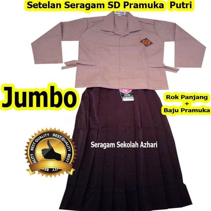 Gambar Parling Laris! Setelan Pramuka Sd Wanita Kls 4-6-Seragam Sekolah Sd Smp Sma - Kelas 1 dari Billy mall undefined Tokopedia