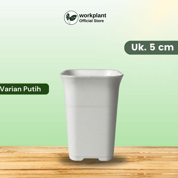 Gambar Workplant - Pot NKT Untuk Semua Jenis Tanaman Hias - Putih, Isi 1 pcs dari workplant official undefined Tokopedia