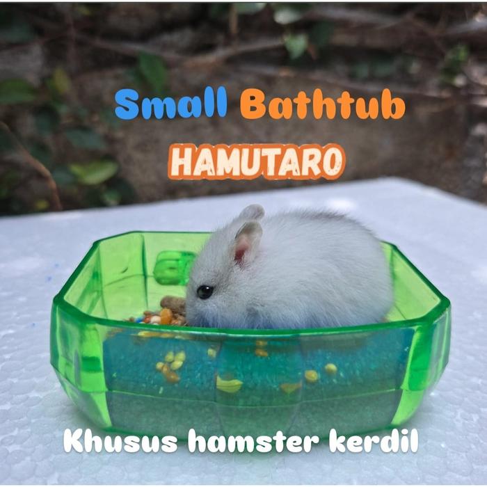 Gambar Tempat bak mandi hamster lucu / toilet bathtub hamster ekstra besar - Ukuran Kecil dari HAMUTARO STORE undefined Tokopedia