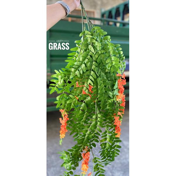 Gambar Daun Juntai/Daun Tangkai 2 Warna - Orange dari AMD Grass Malang undefined Tokopedia