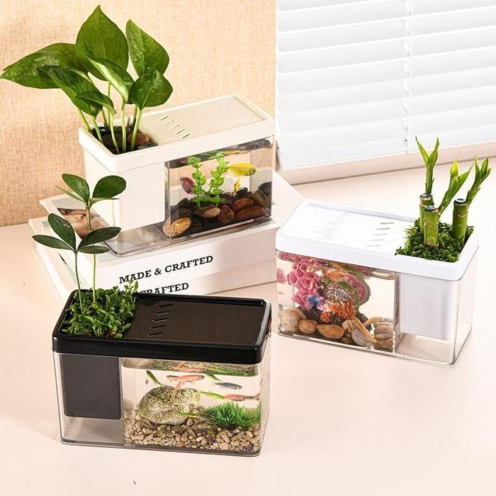 Gambar Aquarium Mini Untuk Ikan Kecil dan Ikan Hias - Ukuran Kecil Untuk Pajangan Meja dan Tempat Pensil - DIY Kolam Ikan Mini Bahan ABS dari JayaLM Store undefined Tokopedia
