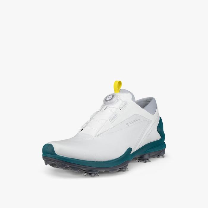 Promo Sepatu golf Man Ecco Biom Tour BOA Leather Waterproof Spikes