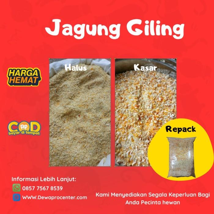 Gambar Jagung Giling Pakan ayam,bebek,entok Repack halus & kasar - GILING KASAR, 25kg dari Dewa Feed Pet Store undefined Tokopedia