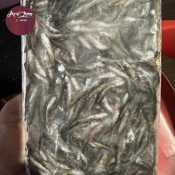 Gambar Anakan Ikan Gabus Beku/Pakan Arwana Dan Ikan Predator Best Seller - 2-3cm dari dilanshop 1 undefined 3 Tokopedia