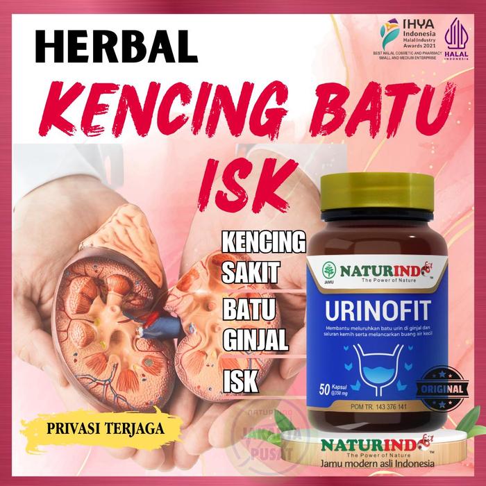 Gambar Naturindo Urinofit Obat Herbal Peluruh Batu Ginjal Prostat Ampuh Ori - URINOFIT NEW dari Naturindo Jakarta Pusat undefined Tokopedia