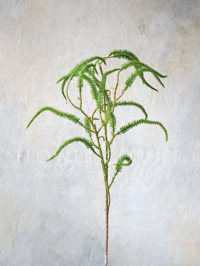 Gambar Bunga Artificial Amaranthus Spray Premium (B24185) - Hijau Muda dari FlowerCornerID undefined Tokopedia