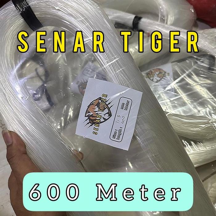 Gambar Senar 1,3Mm Panjang 600 Meter / Senar Pancing Roll Besar / Senar Layangan Besar / Senar Donal / Senar Yokha / Senar Kiloan / Senar Layangan 2 Meter / Senar No 1000 Terbaru Terlaris Terbaik - 600 METER dari FaramirIND undefined Tokopedia