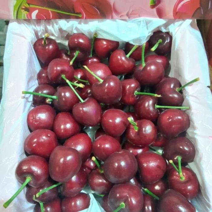 Gambar Buah Cherry Import Premium | Fresh Cherries import - 1kg dari DR Buah Segar undefined Tokopedia
