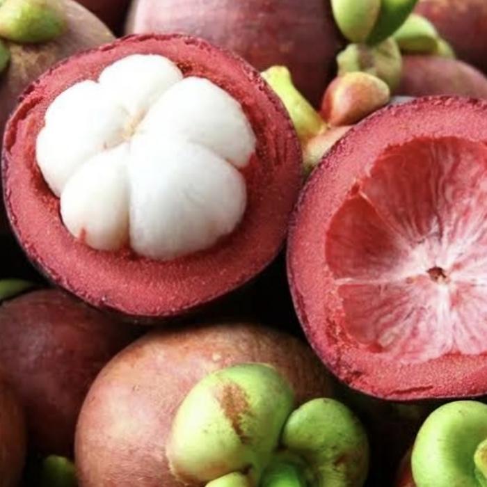Gambar Buah Manggis Segar pilihan 1 kg dari XanderFresh undefined Tokopedia