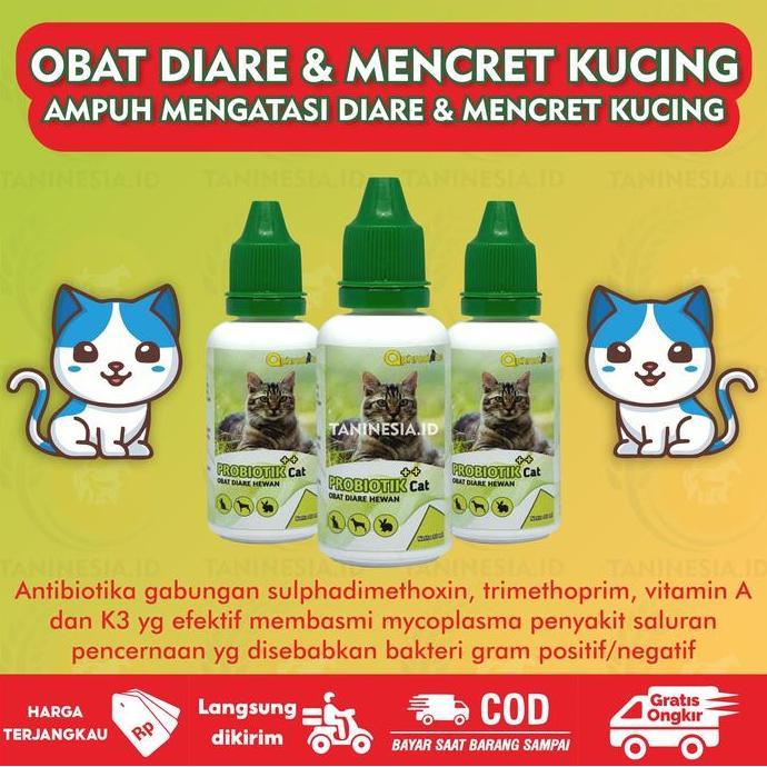 Gambar Obat Diare Mencret Kucing Kitten Paling Ampuh Anti Diare Dan Mencret Untuk Kucing Kualitas Terbaik Dan Mewah - Obat diare dari Fauna Care undefined Tokopedia