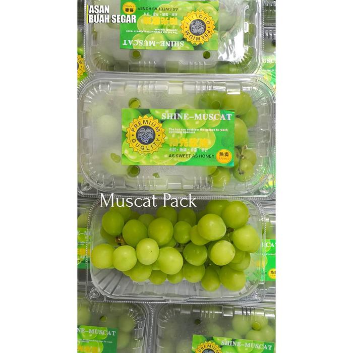 Gambar Buah anggur hijau ijo /ons tanpa biji seedless grapes green emerald - PACK dari Asan Buah Segar undefined Tokopedia
