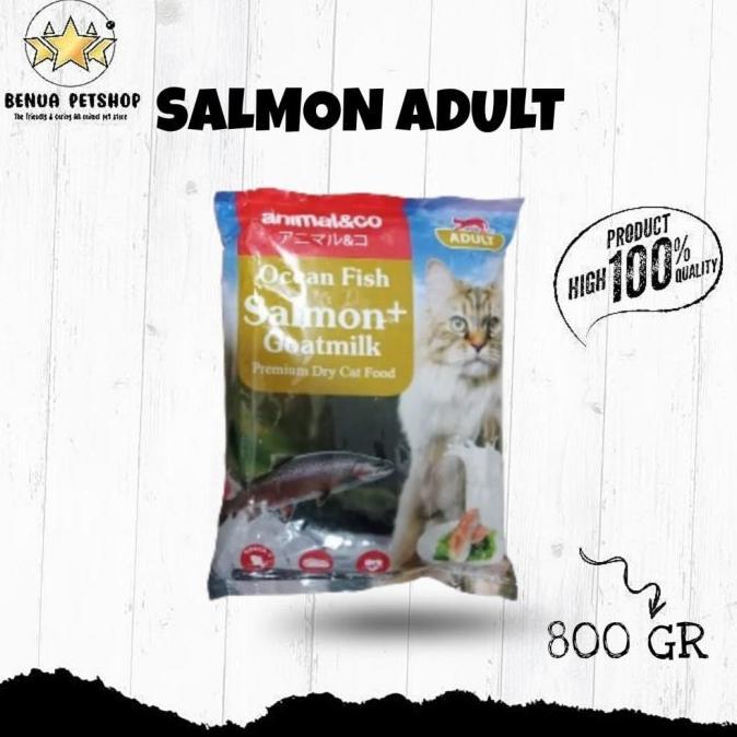 Gambar Produk Terlaris Makanan Kucing Animal&Co Dry Cat Food Adult And Kitten - 800 Gr - SALMON ADULT dari Vzey Shopp undefined Tokopedia