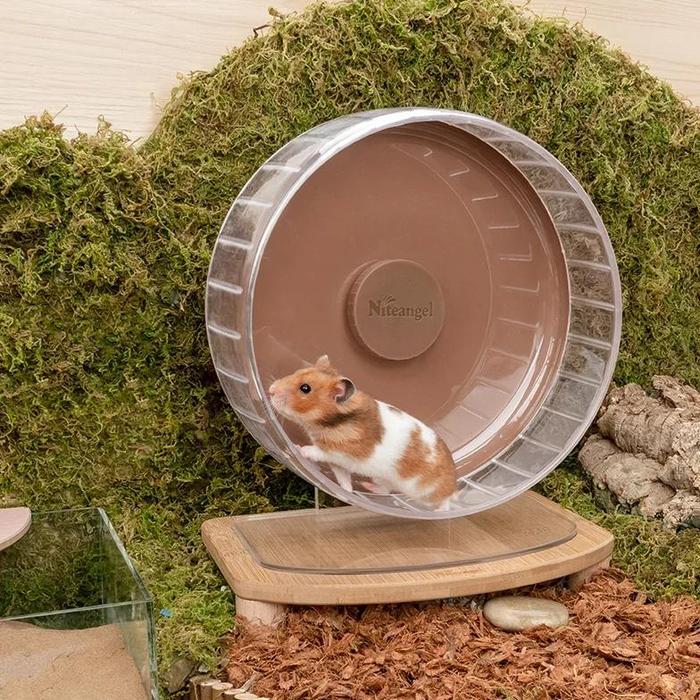 Jual Baru Adjustable Height Super Silent Hamster Running Wheel