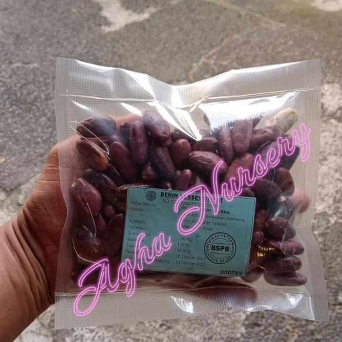 Gambar Bibit Kakao Mcc 02 Bersertifikasi Terlaris dari Aluna-shopid undefined Tokopedia