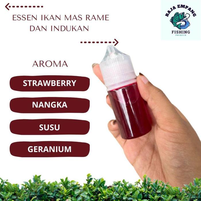 Gambar Essen Oplosan Strawberry Nangka Susu Granium, Essen Ikan Mas Paling Jitu , Essen Ikan Mas Target Rame ,Indukan,Ikan Balap Terbaru Best Quality Asli 100% Original - 30 ML dari HAYUA561 undefined 5 Tokopedia