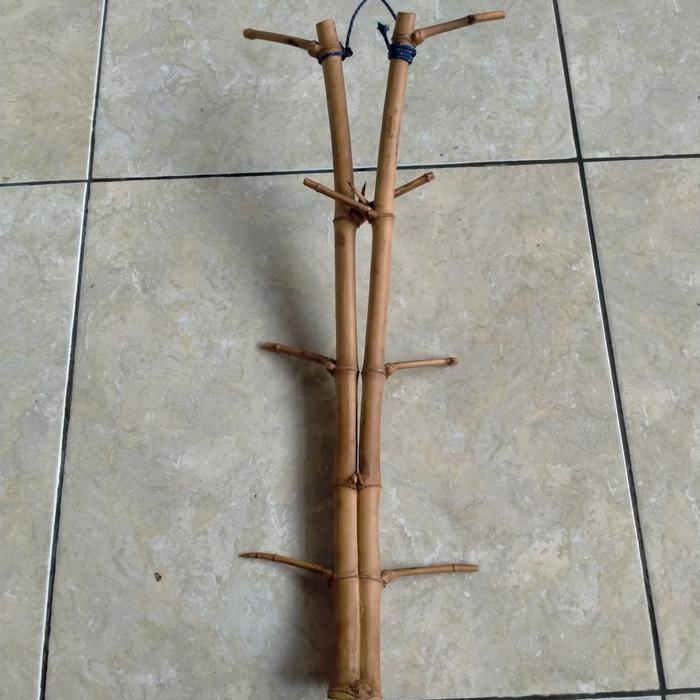Gambar BAMBU UNIK DAMPIT PATIL LELE RUAS SEJAJAR 3 WOW SANGAT ISTIMEWA BOS  (50 CM) dari Jenggala Shop 18 undefined Tokopedia