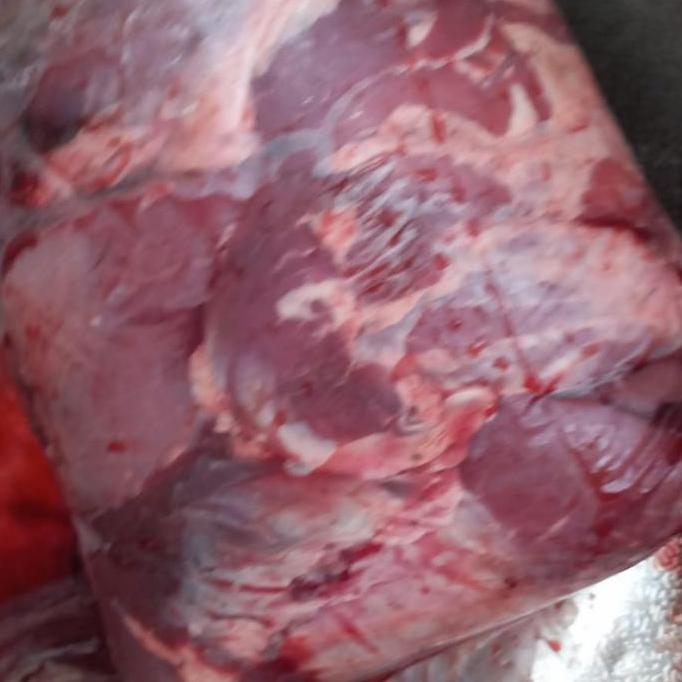 Gambar DAGING BABI CELENG / BABI HUTAN 1KG - 500gram, Giling dari storee telling undefined 2 Tokopedia