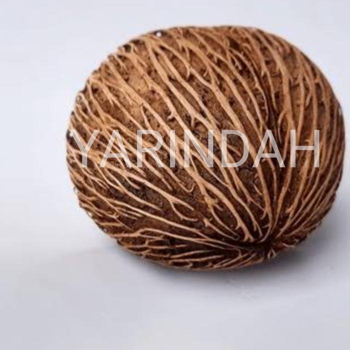 Gambar Buah Bintaro Buah Simpalak (Harga per 5 buah) - Kering (Coklat) dari YARINDAH E-STORE undefined Tokopedia