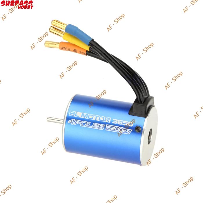 Jual Surpass Hobby 3650 5200KV Motor Brushless Kota Administrasi