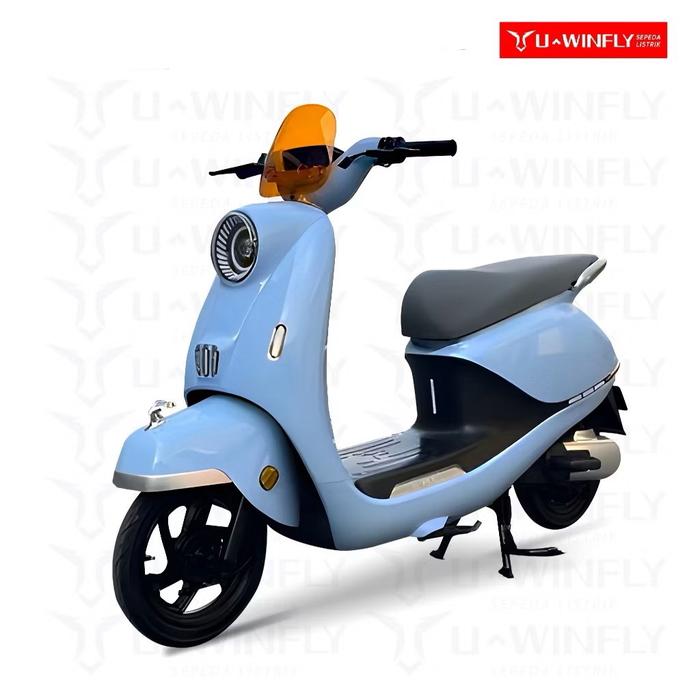 Lithium Battery Fly Ebike Motorcycle Fly E-Bikes Fly 11 PRO Batteries