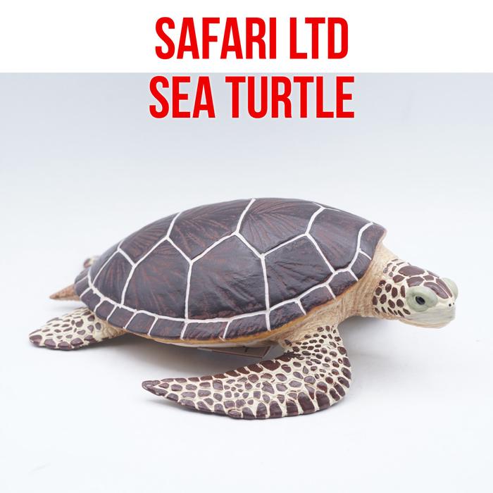 Jual Safari Ltd Sea Turtle Penyu Laut Chelonioidea Big Size Ukuran