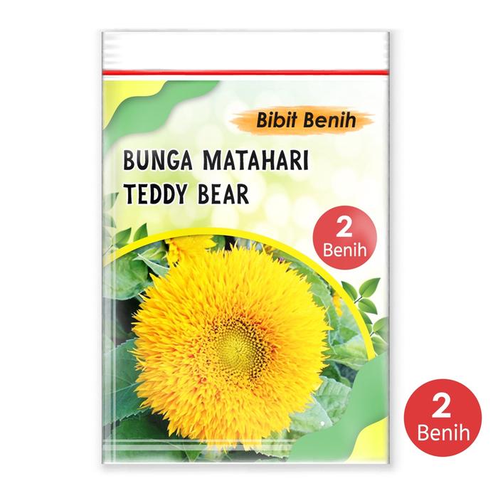 Gambar Benih bunga matahari teddy bear import 2 biji kemasan klip plastik / bibit bunga matahari Tanaman - Varian, Standar dari Nada fast benih jaya undefined Tokopedia