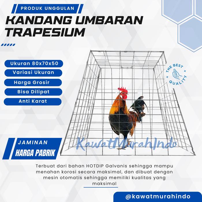 Gambar Kandang Ayam Umbaran Trapesium  Galvanis 80 x 70 x 50 TERMURAH - Anti Karat, Bisa Dilipat, Kokoh dan HARGA PABRIK dari Kawat Murah Indo undefined Tokopedia