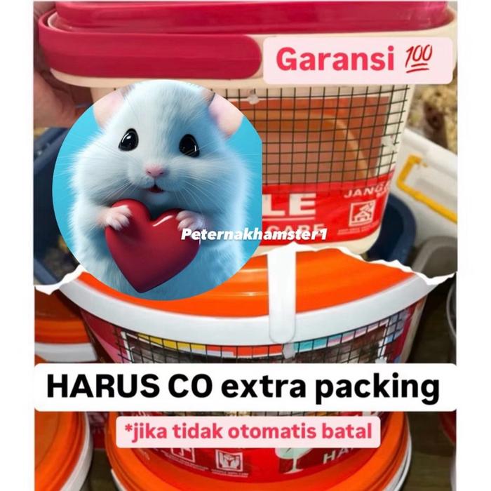 Gambar Hamster Syirian, Winter White, Cambell, Roborovski peternakhamster1 - PACKING EMBER WAJIB dari Peternakhamster1 undefined 4 Tokopedia