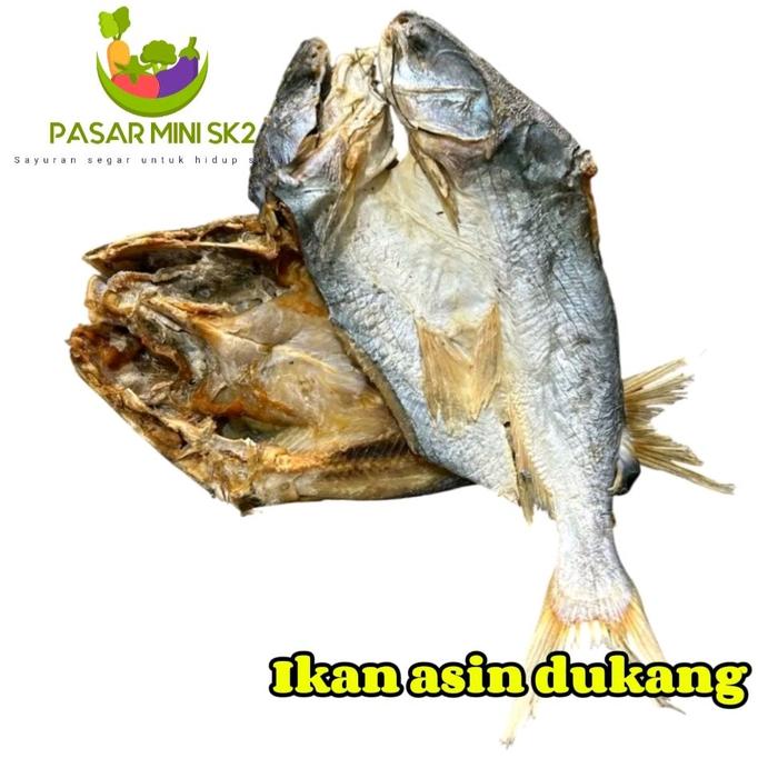 Gambar ikan asin dukang berat +-150gram dari pasar mini sk2 undefined Tokopedia